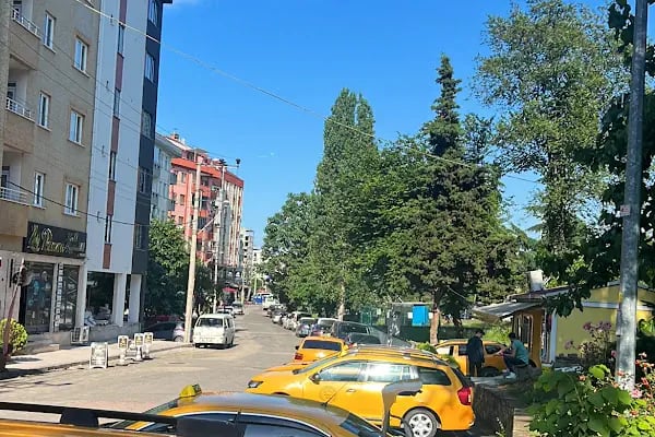 Söğütlü TAKSİ DURAĞI - Resim 2