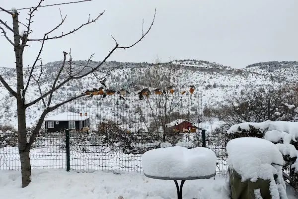 Ihlamur Sitesi - Resim 2