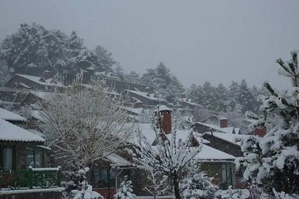 Ihlamur Sitesi - Resim 8