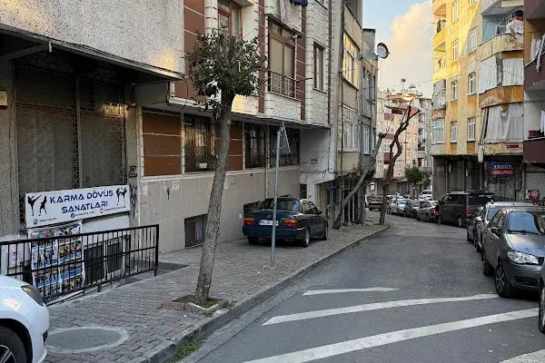 Karma Dövüş Sanatları - Resim 2