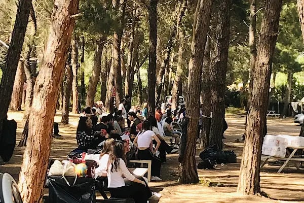 Bahçe arası piknik mangal - Resim 7