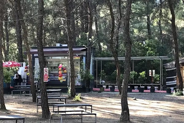 Bahçe arası piknik mangal - Resim 17