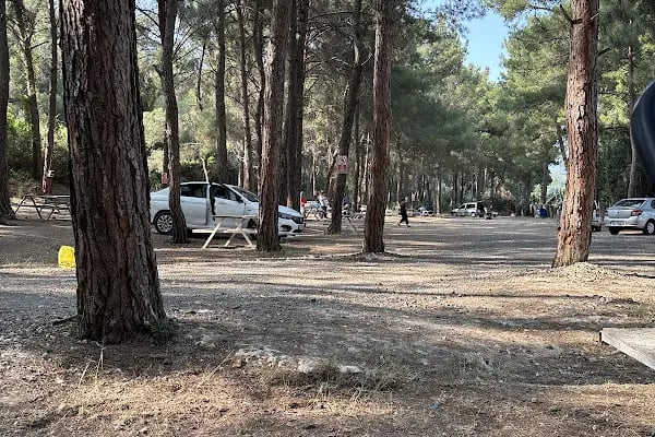 Bahçe arası piknik mangal - Resim 20
