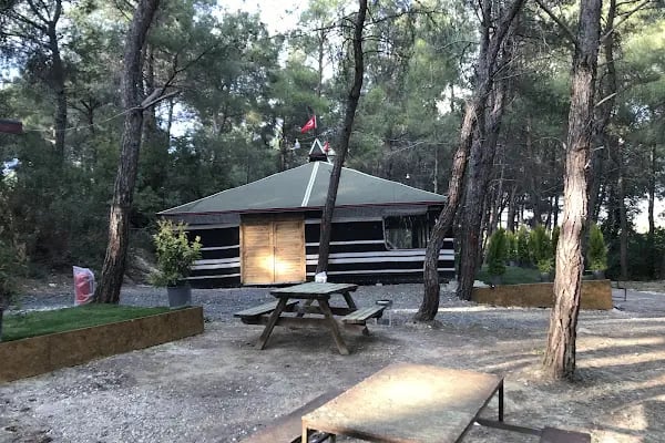 Bahçe arası piknik mangal - Resim 19