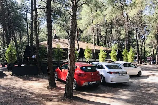Bahçe arası piknik mangal - Resim 5