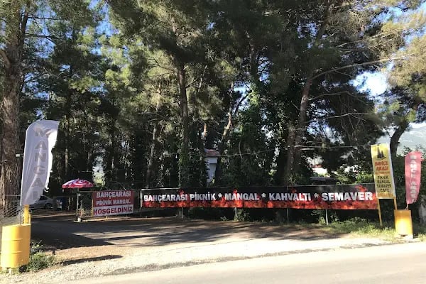 Bahçe arası piknik mangal - Resim 15