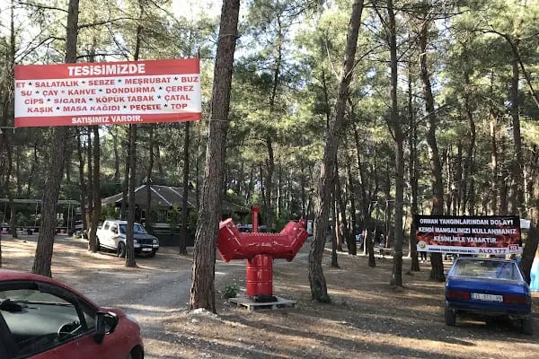 Bahçe arası piknik mangal - Resim 9