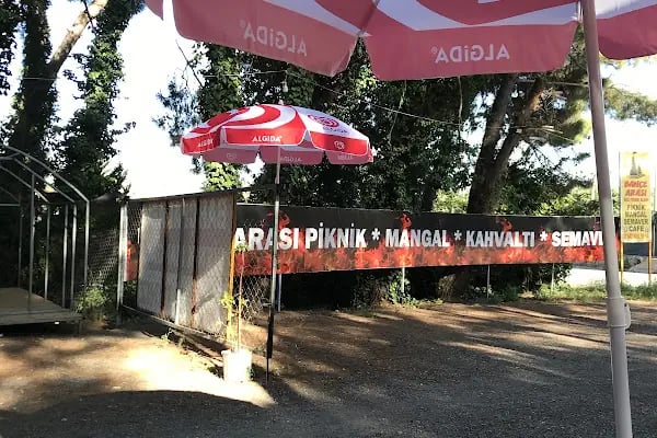 Bahçe arası piknik mangal - Resim 2