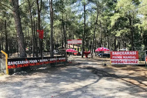 Bahçe arası piknik mangal - Resim 13