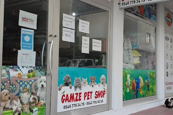 Gamze Petshop - Resim 1