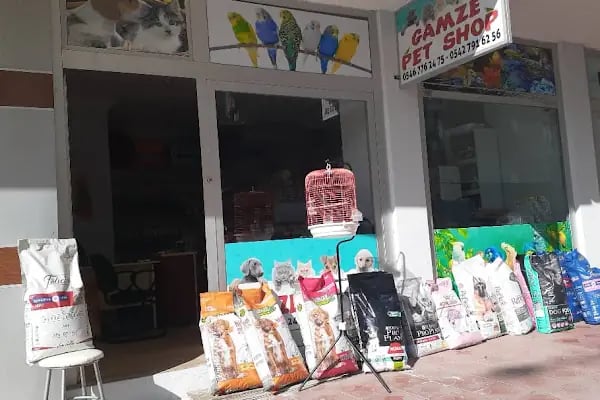 Gamze Petshop - Resim 3