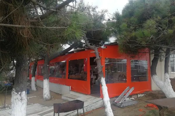 Atlıtur Gümüşdere Plajı Binicilik Alanı - Resim 15