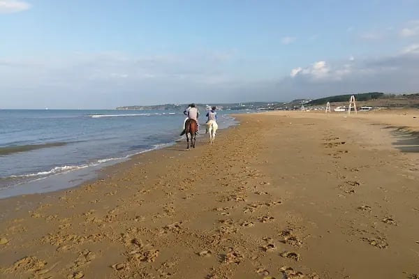 Atlıtur Gümüşdere Plajı Binicilik Alanı - Resim 10