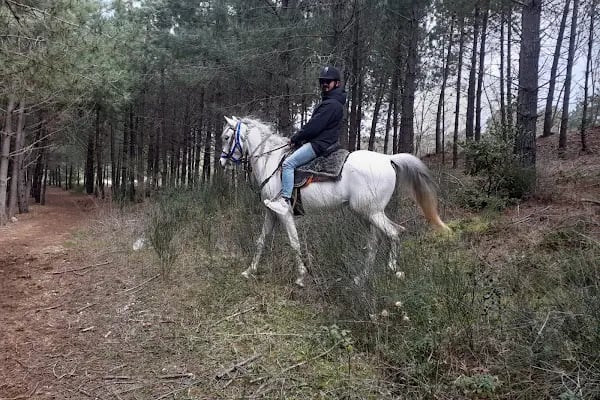 Atlıtur Gümüşdere Plajı Binicilik Alanı - Resim 6
