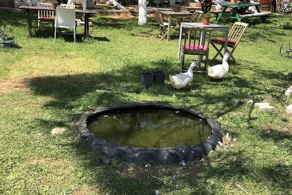 Atlıtur Gümüşdere Plajı Binicilik Alanı - Resim 16