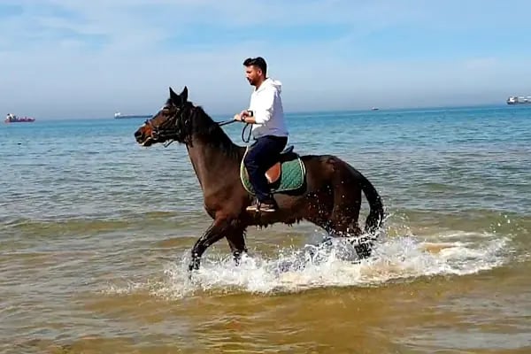 Atlıtur Gümüşdere Plajı Binicilik Alanı - Resim 4