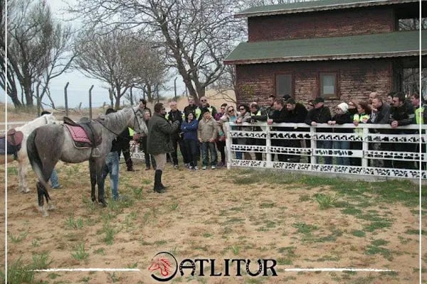Atlıtur Gümüşdere Plajı Binicilik Alanı - Resim 1