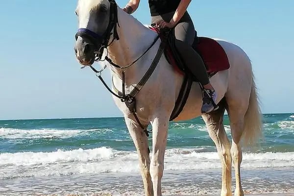Atlıtur Gümüşdere Plajı Binicilik Alanı - Resim 3