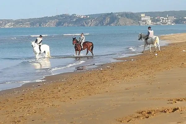 Atlıtur Gümüşdere Plajı Binicilik Alanı - Resim 11