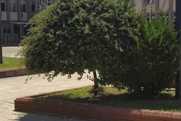 Aydın Valiliği - Resim 19