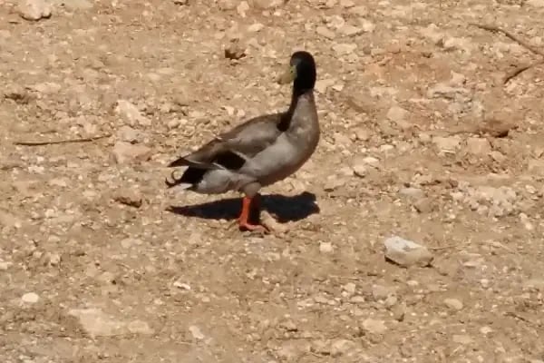 OVA KARGO VE TAŞIMACILIK - Resim 7