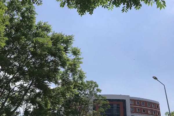 İstanbul Üniversitesi - Cerrahpaşa Rektörlüğü - Resim 8