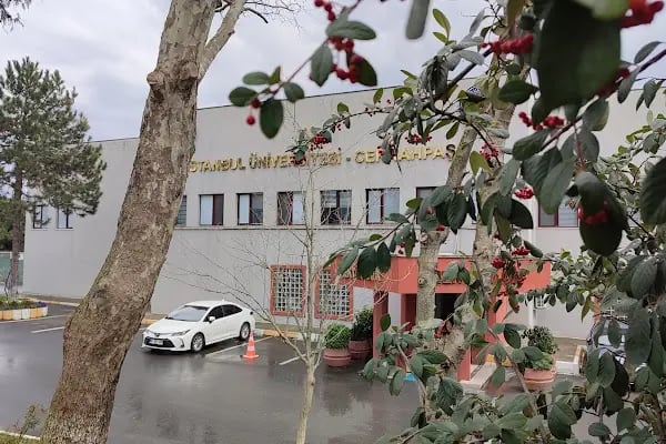 İstanbul Üniversitesi - Cerrahpaşa Rektörlüğü - Resim 5
