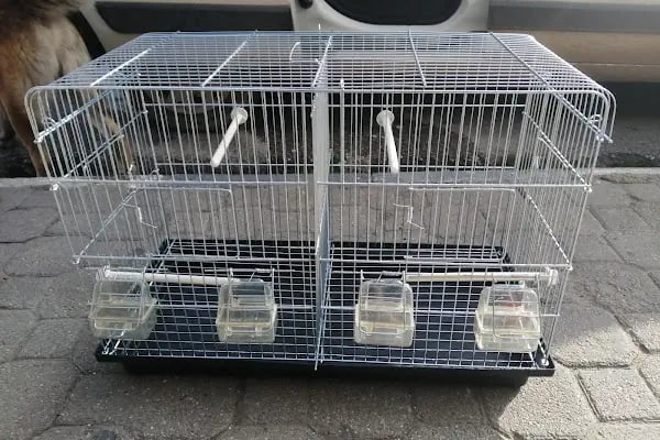 Neşeli Pet Shop - Resim 4