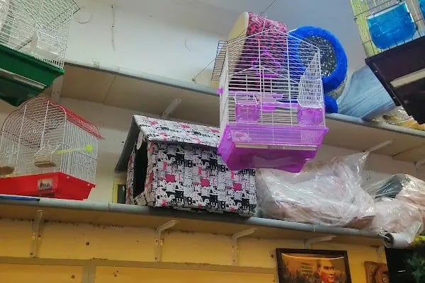 Neşeli Pet Shop - Resim 14