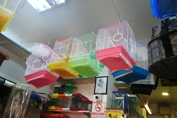 Neşeli Pet Shop - Resim 6