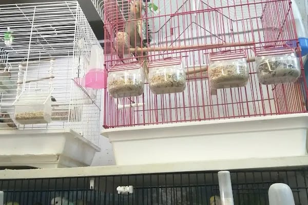 Neşeli Pet Shop - Resim 1