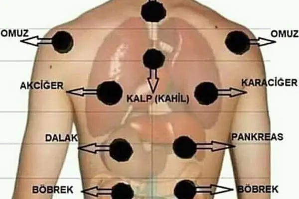 Bursa Gürsu Hacamat Yd - Resim 12