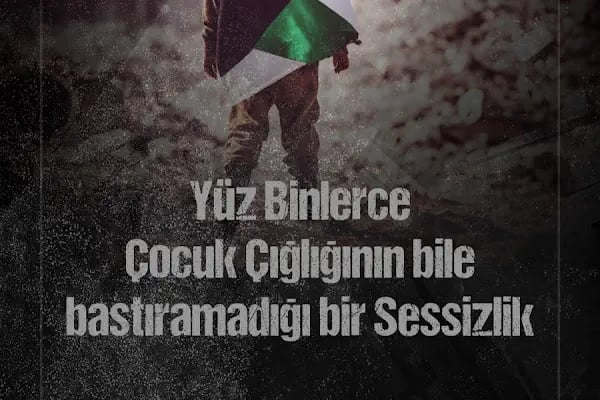 Macquarie Dil Okulu &amp; Yurtdışı Eğitim, - Resim 17
