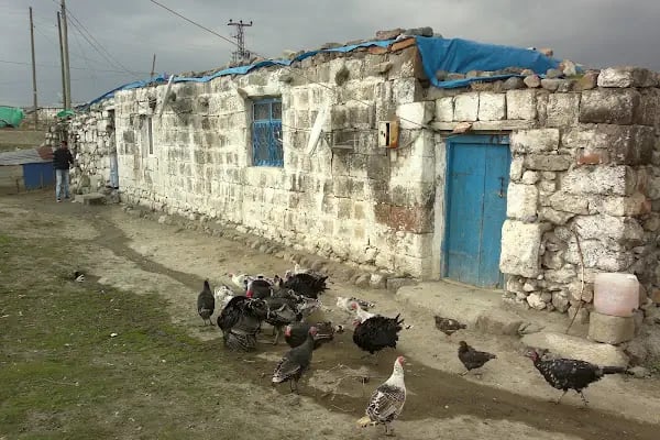 Süngüderesi - Resim 4