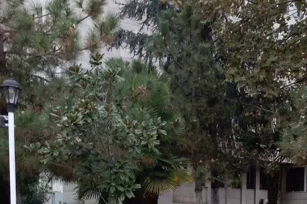 Pendik Sosyal Güvenlik Merkezi - Resim 14