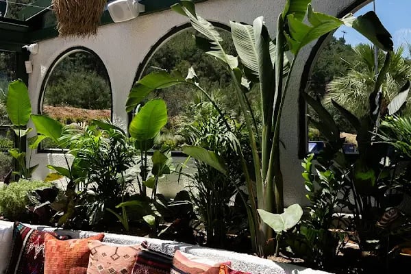 Orman İçi Cafe & Restaurant - Resim 12