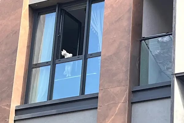 Uzm. Kl. Psk. Sena Güllük - Resim 5