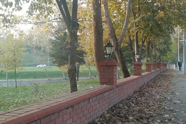 Vagon Park - Resim 16