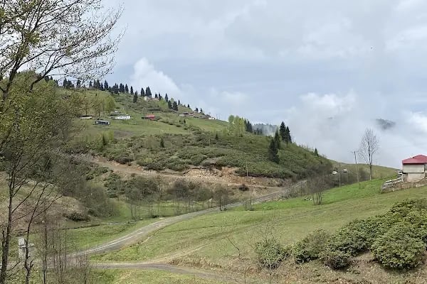 hıdırnebi yayla konaklama - Resim 15