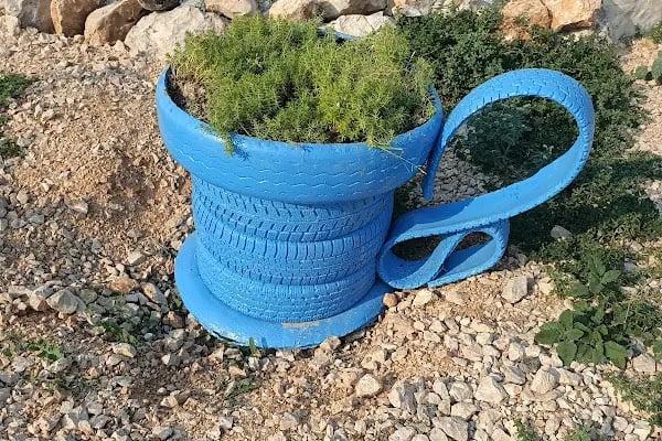 Hepad Terk Edilmişlerin Pati Bahçesi - Resim 12