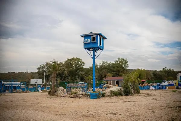 Hepad Terk Edilmişlerin Pati Bahçesi - Resim 8