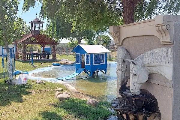 Hepad Terk Edilmişlerin Pati Bahçesi - Resim 18