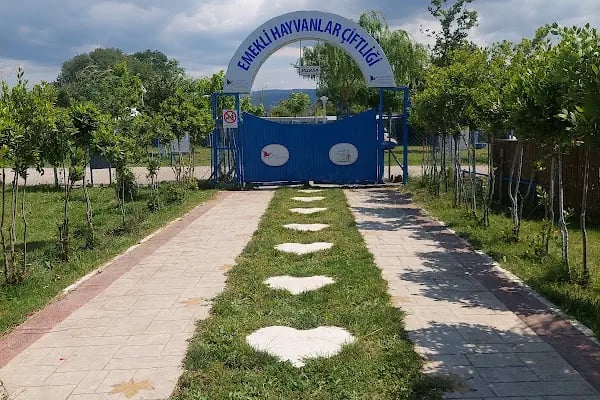 Hepad Terk Edilmişlerin Pati Bahçesi - Resim 20