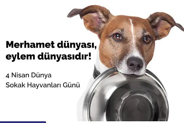 Bodrum Çelik Yapı Market - İnşaat Demiri, Boru- Profil - Resim 4