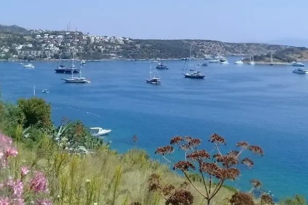 Teus Evden Eve Asansörlü Taşimacilik - Resim 2