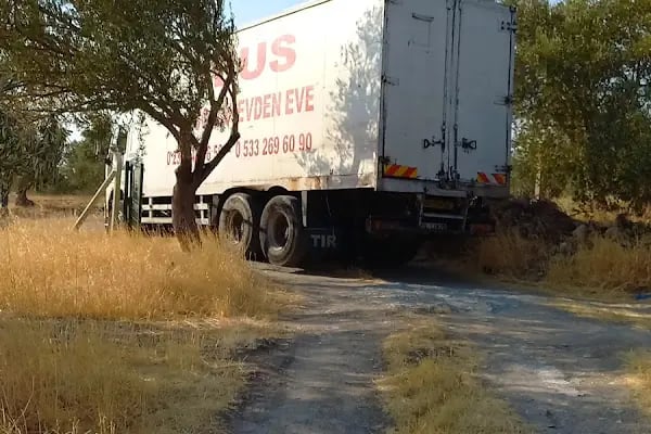 Teus Evden Eve Asansörlü Taşimacilik - Resim 3
