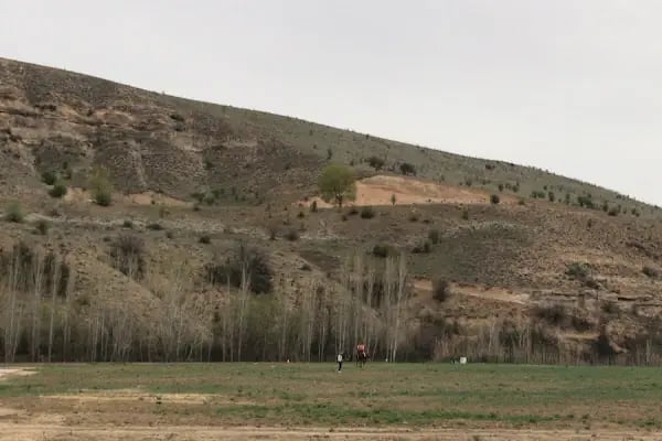 YAREN AT ÇİFTLİĞİ - Resim 11
