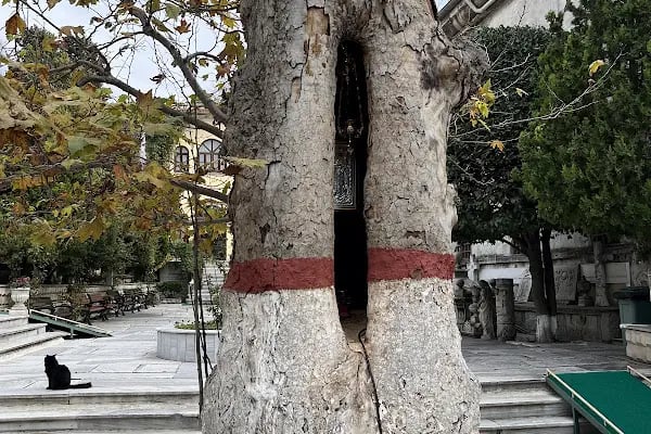 Balıklı Meryem Ana Rum Ortodoks Manastırı - Resim 17