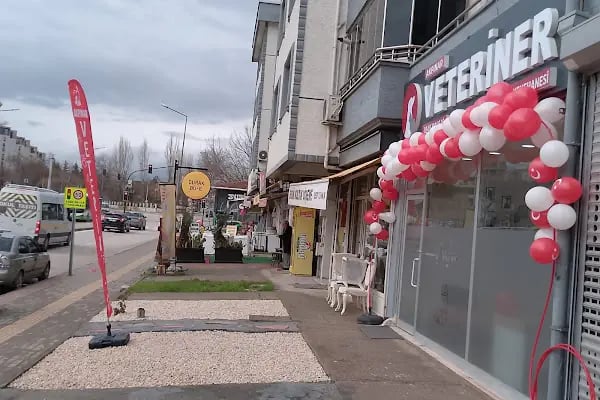 Akpınar Veteriner Kliniği - Resim 4