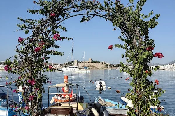 Ali Cengiz Cafe - Resim 11
